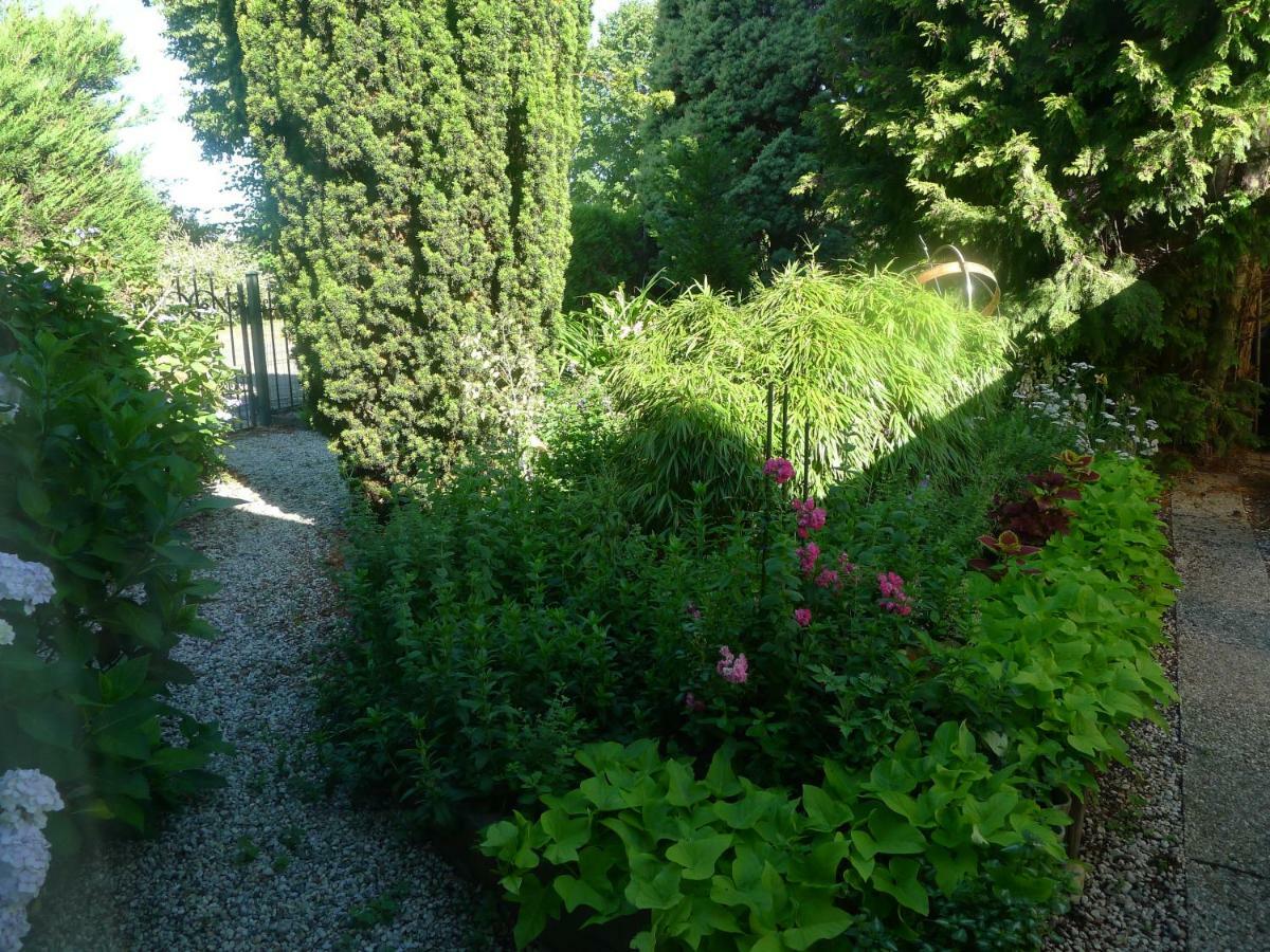 B&B De Kleine Wijngaard Roggel Exterior foto